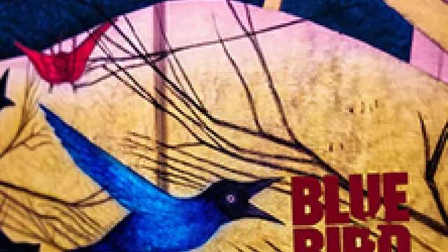 Blue Bird Festival 2026