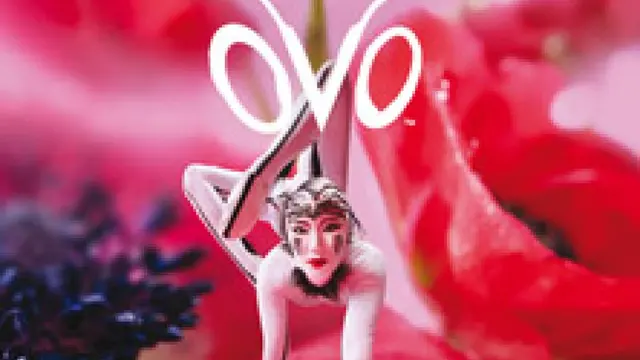 Cirque du Soleil OVO
