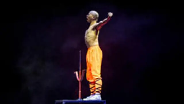 Die Mönche des Shaolin Kung-Fu