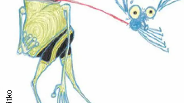 Froschkönig oder so