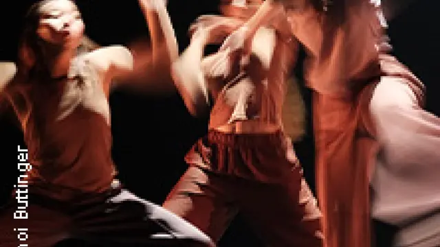 Institute of Dance Arts der Bruckner Uni