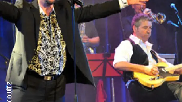 Monti Betons Elvis Night