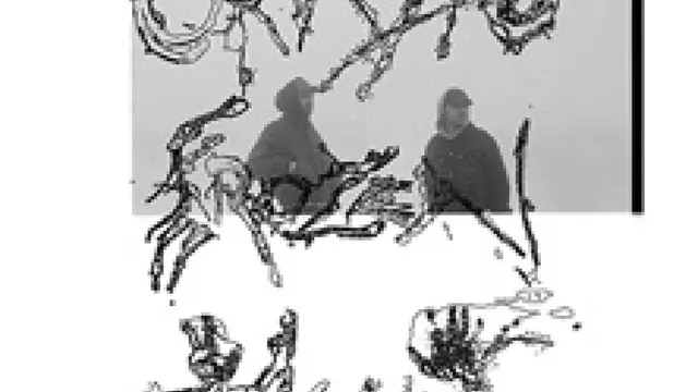 Okvsho +experience - Live 2026