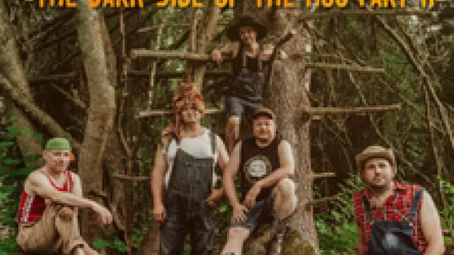Steve 'n' Seagulls - The Dark Side of The Moon Part II