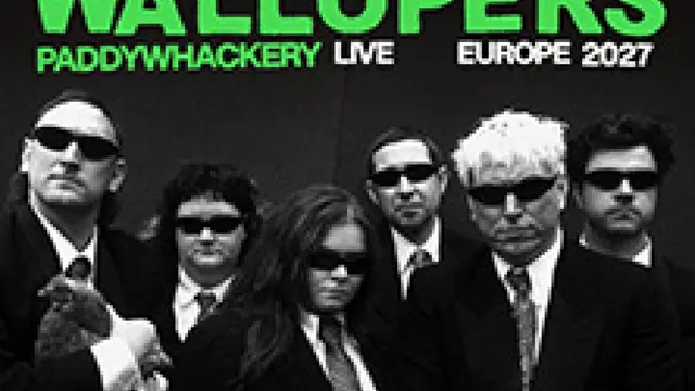 The Mary Wallopers