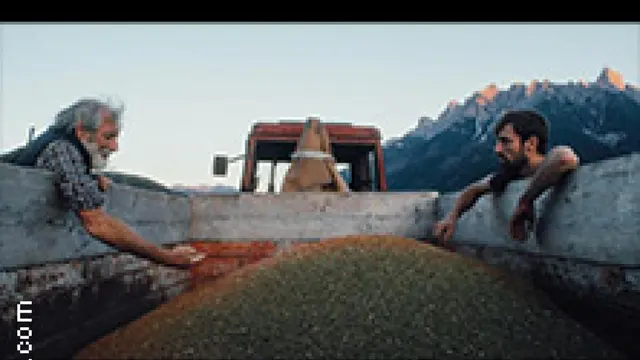 TiAN - Generation Farmfluencer