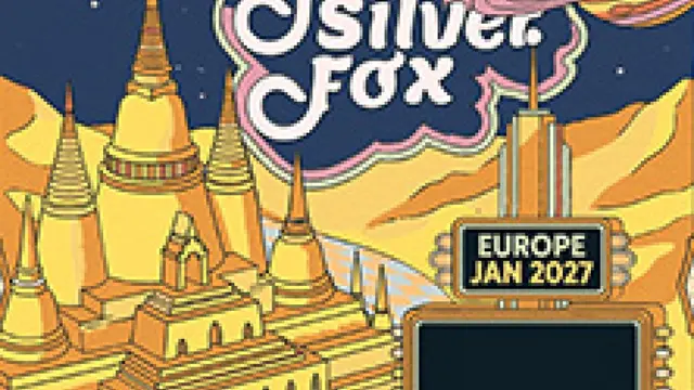 Young Gun Silver Fox